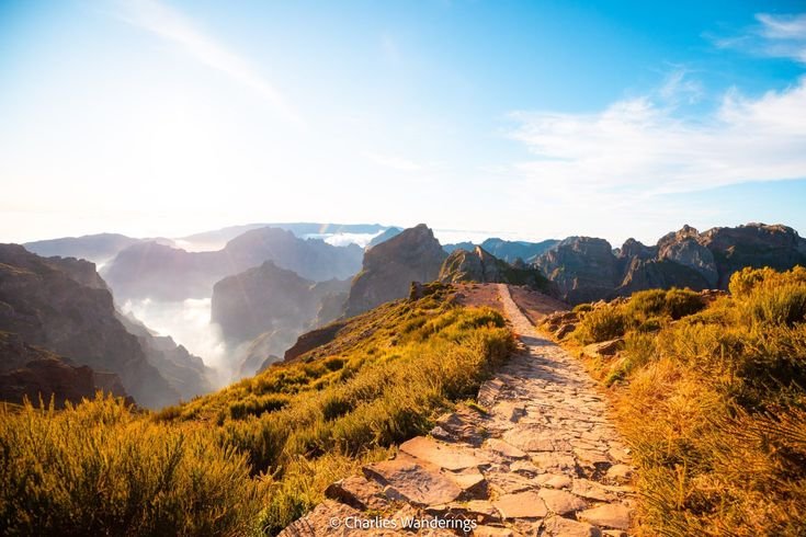Top 3 Best Madeira Hiking Trails to Experience the Island’s Wild Beauty